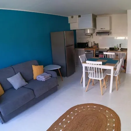 Apartment T2 Renove A 50m De La